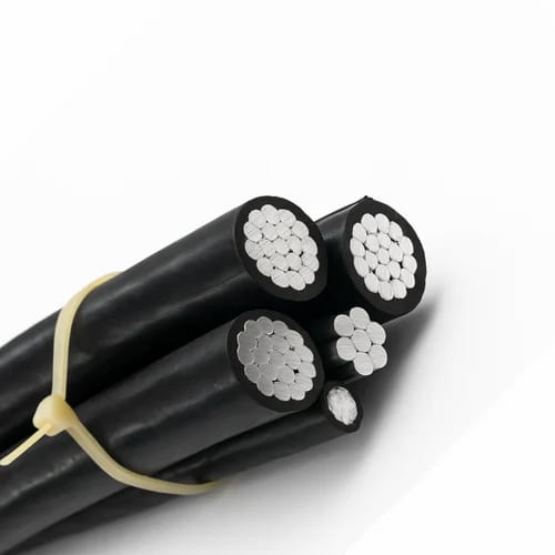 WhatsApp Image 2025-11-06 at 11.31.05 AM