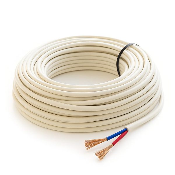 WhatsApp Image 2025-11-06 at 11.30.11 AM